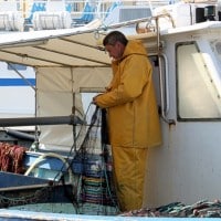 Vieux-Port, Balade sur le march&eacute; aux poissons du Vieux-Port, Made in Marseille