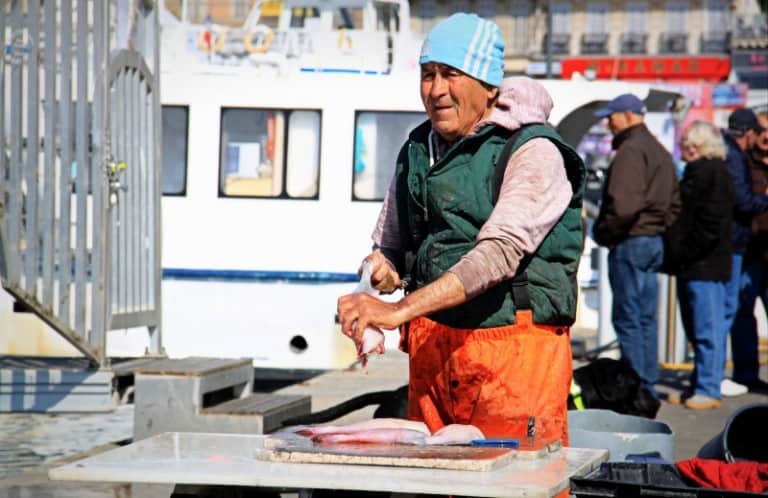 Balade sur le marché aux poissons du Vieux-Port