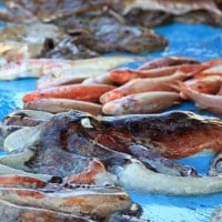 Vieux-Port, Balade sur le march&eacute; aux poissons du Vieux-Port, Made in Marseille