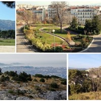 promener-chien-parc-jardin-marseille