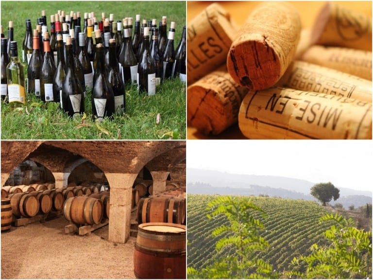[Reportage] Une année 2015 prometteuse pour les vins de Provence