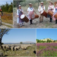 activite-animation-week-end-provence