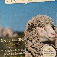 , Un beau succ&egrave;s pour le premier Salon de l&rsquo;agriculture en Provence, Made in Marseille