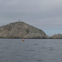 ile-tiboulen-maire