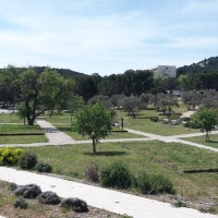 Luminy, Le projet de nouveau campus &agrave; Luminy enfin d&eacute;voil&eacute; !, Made in Marseille