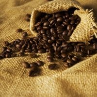 origine-cafe-premier-france