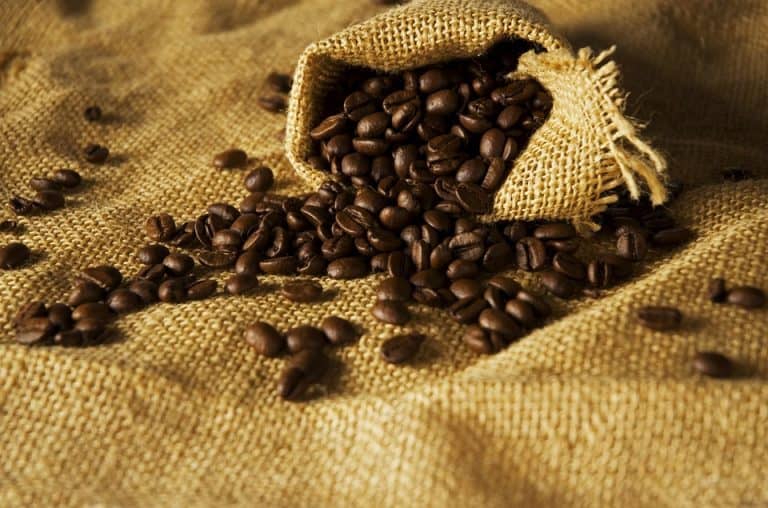 Saviez-vous que le premier « café » de France se trouvait à Marseille ?