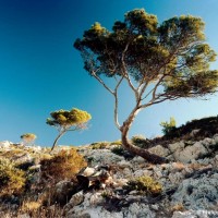 calanques, 10 raisons d&rsquo;aller se balader et se baigner dans les Calanques, Made in Marseille