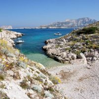 plagette-vue-ile-jarre-jarron