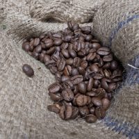 premier-cafe-origine-france