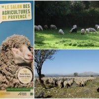 , Top d&eacute;part pour le Salon des Agricultures de Provence 2017, Made in Marseille