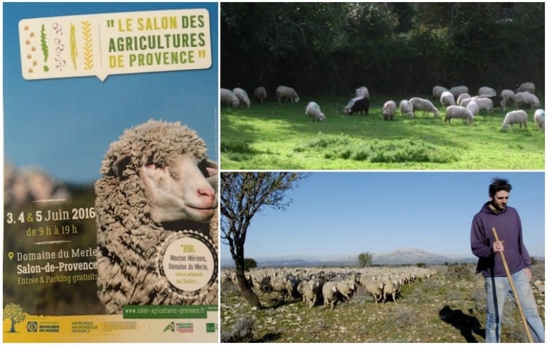 Le 1er salon de l&rsquo;agriculture Made in Provence débarque ce weekend !