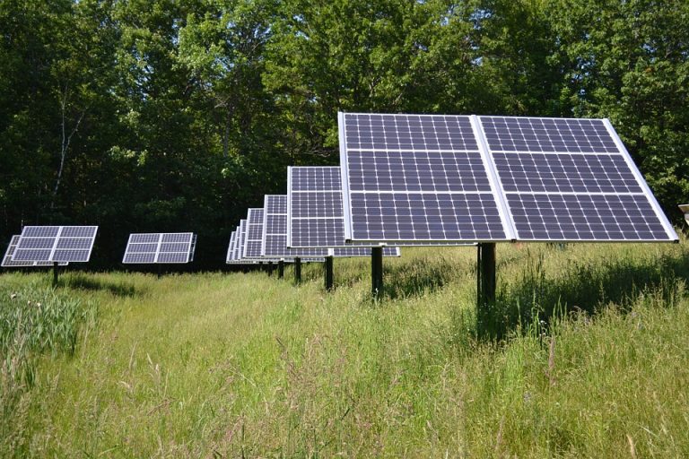 Bamboo For Life, Ombrea, Télaqua… Cédric O annonce les lauréats provençaux de Green Tech Innovation