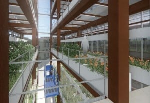 agriculture urbaine, Les toits de Marseille bient&ocirc;t transform&eacute;s en potagers !, Made in Marseille