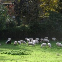 , Un village de cr&eacute;ateurs 100% fran&ccedil;ais va ouvrir dans le Var&nbsp;, Made in Marseille