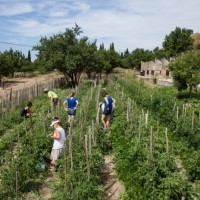 terre-mars-agricole-quartier-nord