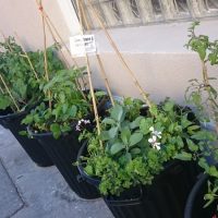 biodiversit&eacute;, Marseille en 3e place des villes avec le plus de biodiversit&eacute; en France !, Made in Marseille