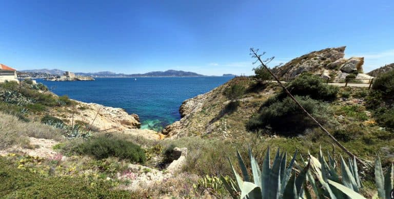 A Marseille, des plantes envahissantes du Frioul transformées en alcool