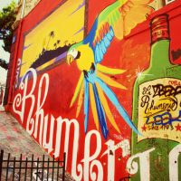 cours julien, Se loger dans le quartier du Cours Julien / La Plaine, Made in Marseille