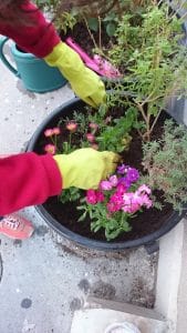 potagers, Des potagers en libre-service bient&ocirc;t dans tout Marseille ?, Made in Marseille