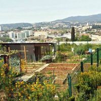 , Au Nord de Marseille, ouvrez les portes du jardin partag&eacute; du parc Ath&eacute;na, Made in Marseille