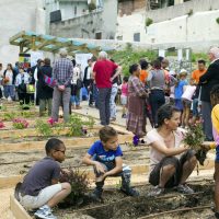 jardin-partage-saint-mauront