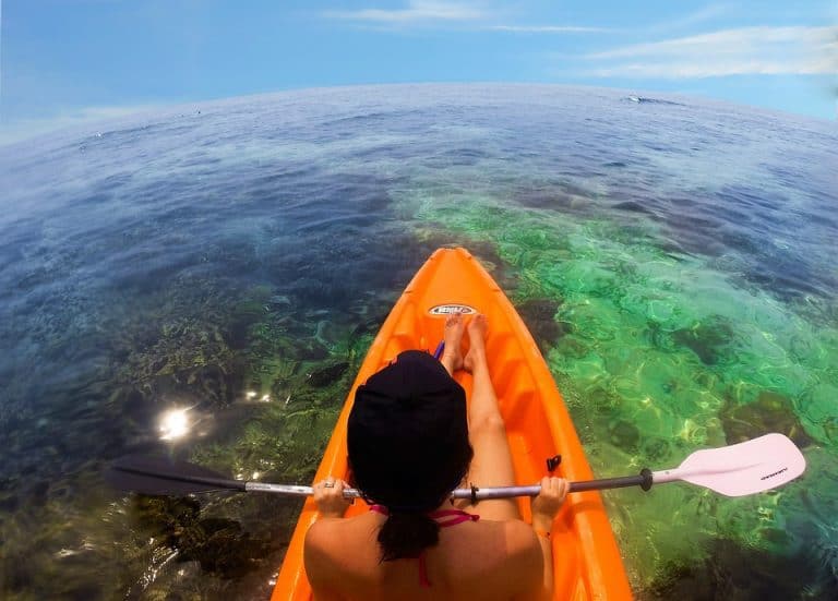 Snorkeling et kayak gratuits à la découverte du littoral pour la Fête de la Nature !