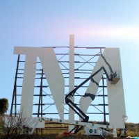 , Des &acirc;nes investissent le parc Foresta dans les quartiers Nord de Marseille, Made in Marseille