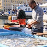 bouillabaisse, D&eacute;couvrez l&rsquo;histoire du plat marseillais par excellence&nbsp;: la Bouillabaisse, Made in Marseille