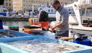 automne, Quelle m&eacute;t&eacute;o et quelles activit&eacute;s &agrave; Marseille en automne&nbsp;?, Made in Marseille