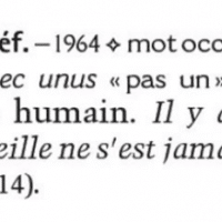 mot-degun-dictionnaire-petit-robert