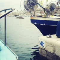 sardine-vieux-port