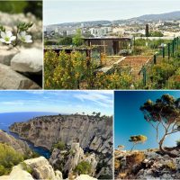 , Marseille recevra le congr&egrave;s mondial pour la biodiversit&eacute; en 2020, Made in Marseille