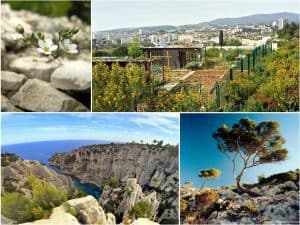 insectes, Six nouveaux h&ocirc;tels &agrave; insectes install&eacute;s en 2017 dans les parcs de Marseille, Made in Marseille