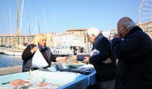 automne, Quelle m&eacute;t&eacute;o et quelles activit&eacute;s &agrave; Marseille en automne&nbsp;?, Made in Marseille