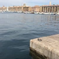 vieux-port-sardine-efface