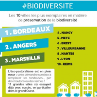 ville-preservation-biodiversite-classement