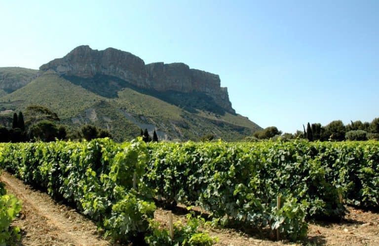 La Vallée de la gastronomie : Un voyage gourmand pour redécouvrir le patrimoine culinaire
