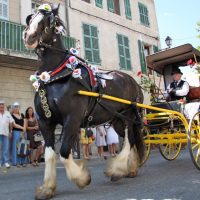 Saint Eloi, D&eacute;couvrez l&rsquo;histoire et l&rsquo;agenda des f&ecirc;tes de la Saint Eloi en Provence, Made in Marseille