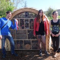 hotel-insecte-biodiversite-abeille