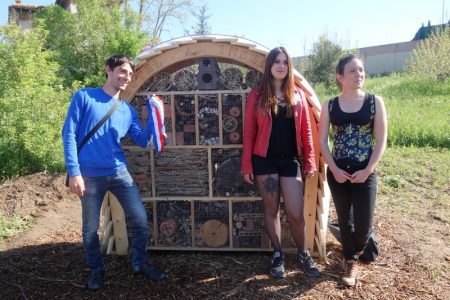 insectes, Six nouveaux h&ocirc;tels &agrave; insectes install&eacute;s en 2017 dans les parcs de Marseille, Made in Marseille