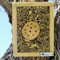 insectes, Six nouveaux h&ocirc;tels &agrave; insectes install&eacute;s en 2017 dans les parcs de Marseille, Made in Marseille