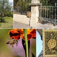 hotel-insecte-parc-protection-biodiversite