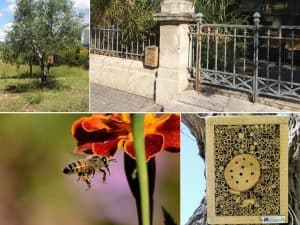 papillons, Partez pour un petit tour au Parc Urbain des Papillons, Made in Marseille