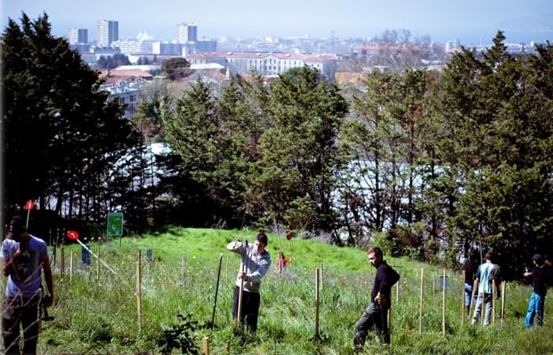 Le Parc Urbain des Papillons continuera à accueillir du public jusqu&rsquo;en 2025