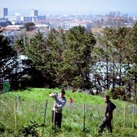 installation-plante-parc-urbain-papillon