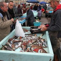 marche-poisson-roche-bouillabaisse