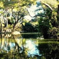 parc-jardin-pastre-visite-marseille
