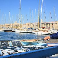 pecheur-marche-vieux-port