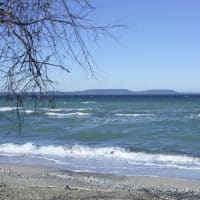 plage-baignade-ete-famille